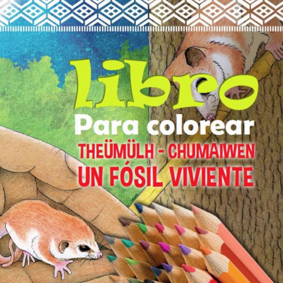 libro para pintar