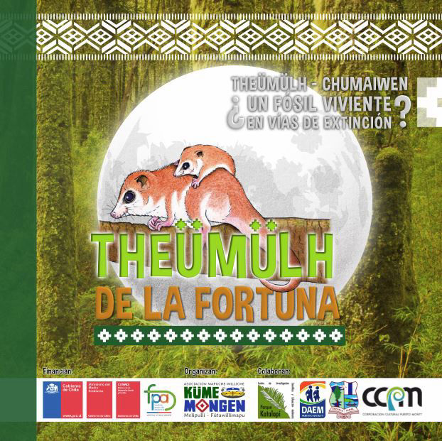theümülh da la fortuna